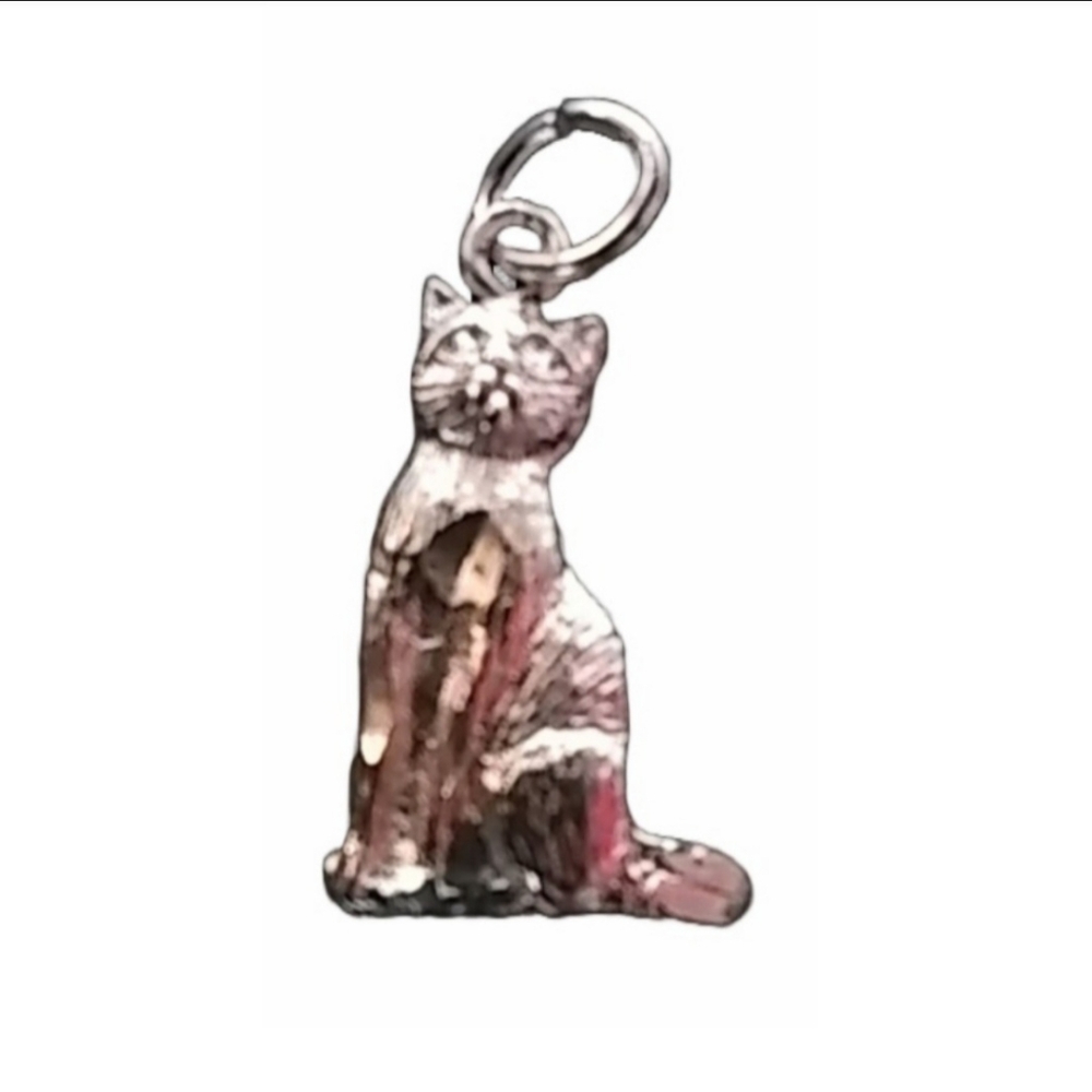 Cat Silver-Toned Shiny Charm Pendant | EUC